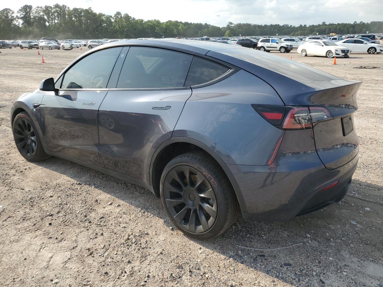 2023 TESLA MODEL Y  VIN:7SAYGDEEXPA093549