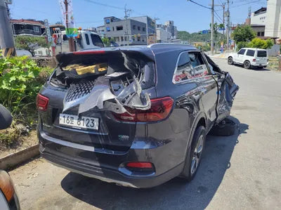 2019 Kia Sorento KNAPS81BDKA507127 VIN:KNAPS81BDKA507127