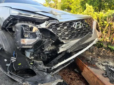 2019 Hyundai Santa FE KMHS381BBKU156411 VIN:KMHS381BBKU156411