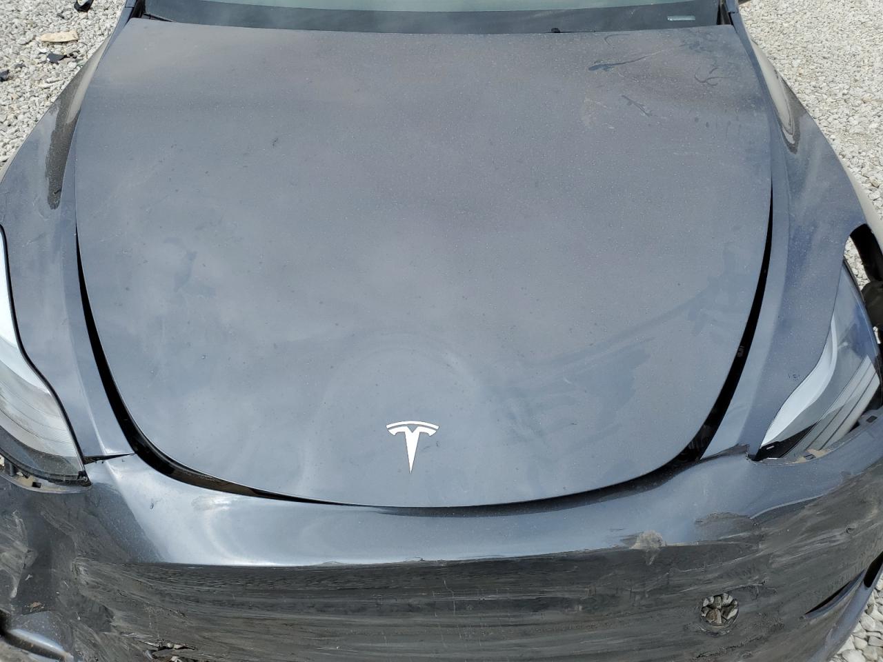 2023 TESLA MODEL Y  VIN:7SAYGDEF4PF829543