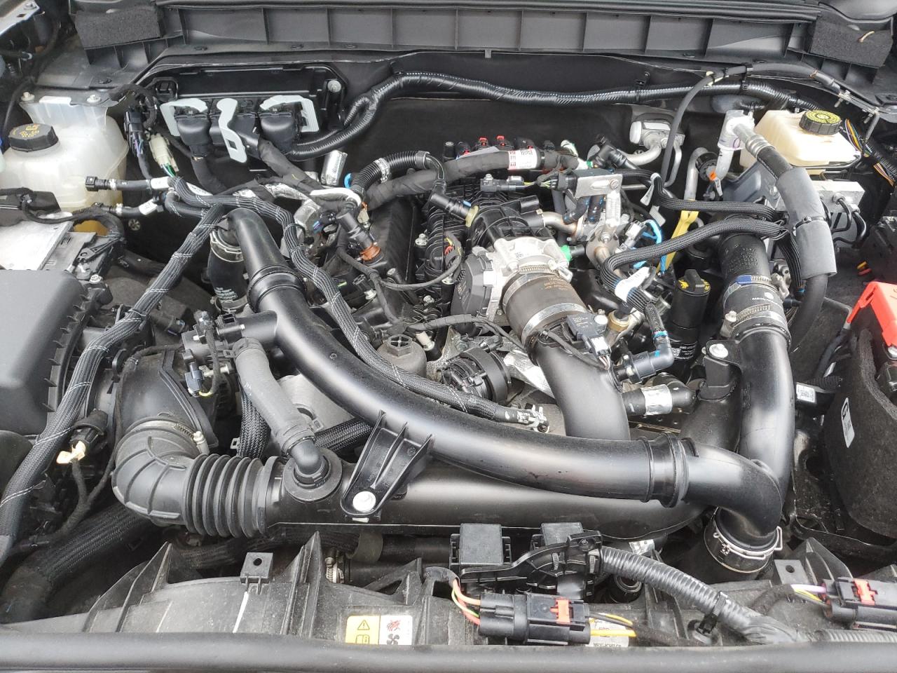 2023 FORD BRONCO BASE VIN:1FMEE5DP6PLB01835