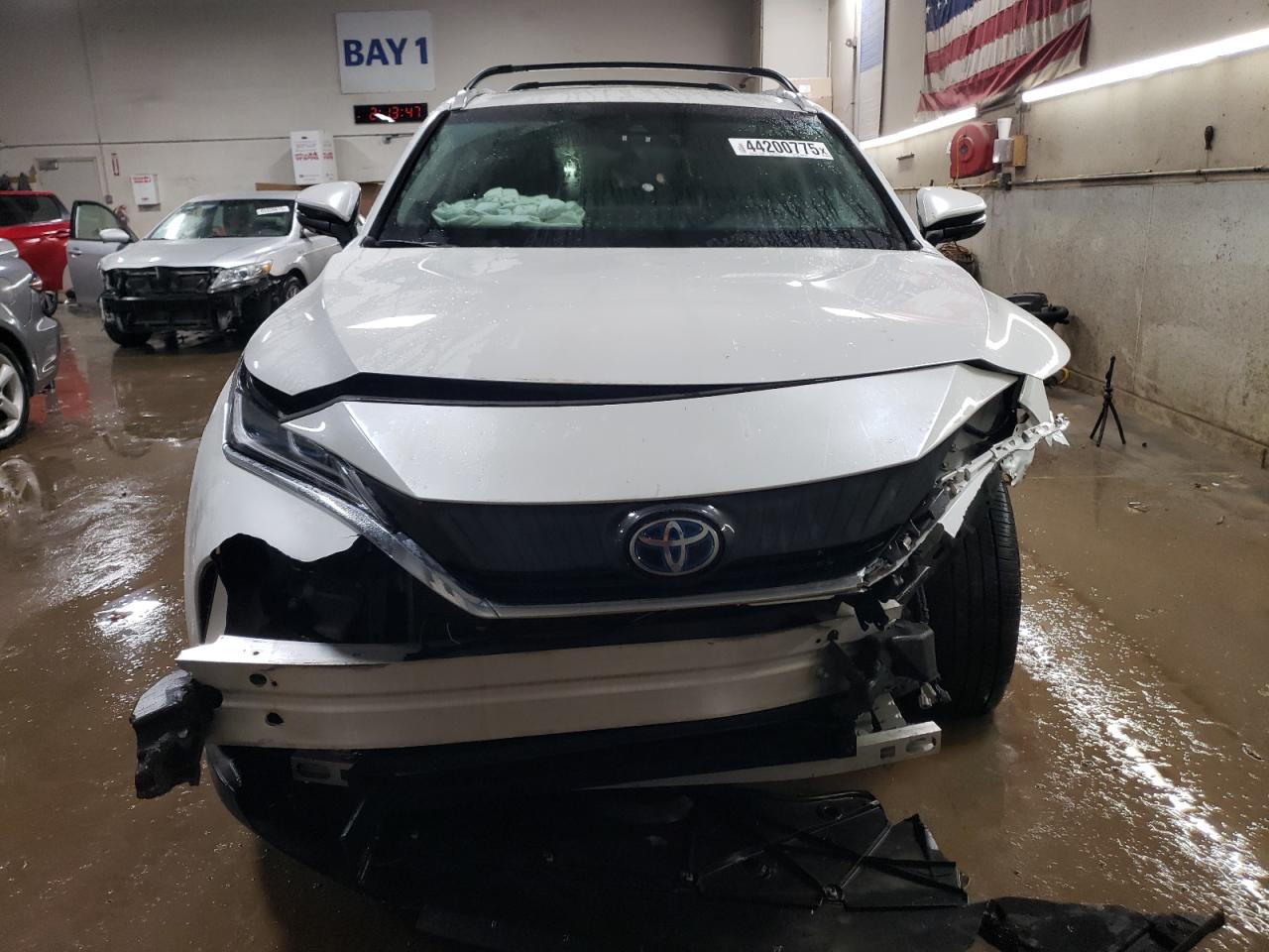 2023 TOYOTA VENZA LE VIN:JTEAAAAH6PJ134653