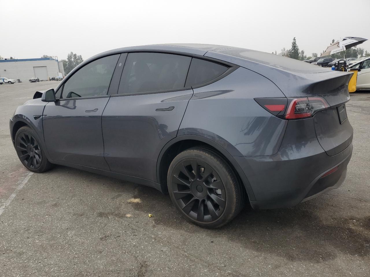 2023 TESLA MODEL Y  VIN:7SAYGDEE0PF863017