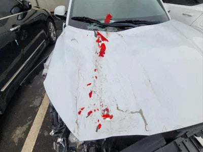 2018 Hyundai Kona KMHK4815HJU161870 VIN:KMHK4815HJU161870