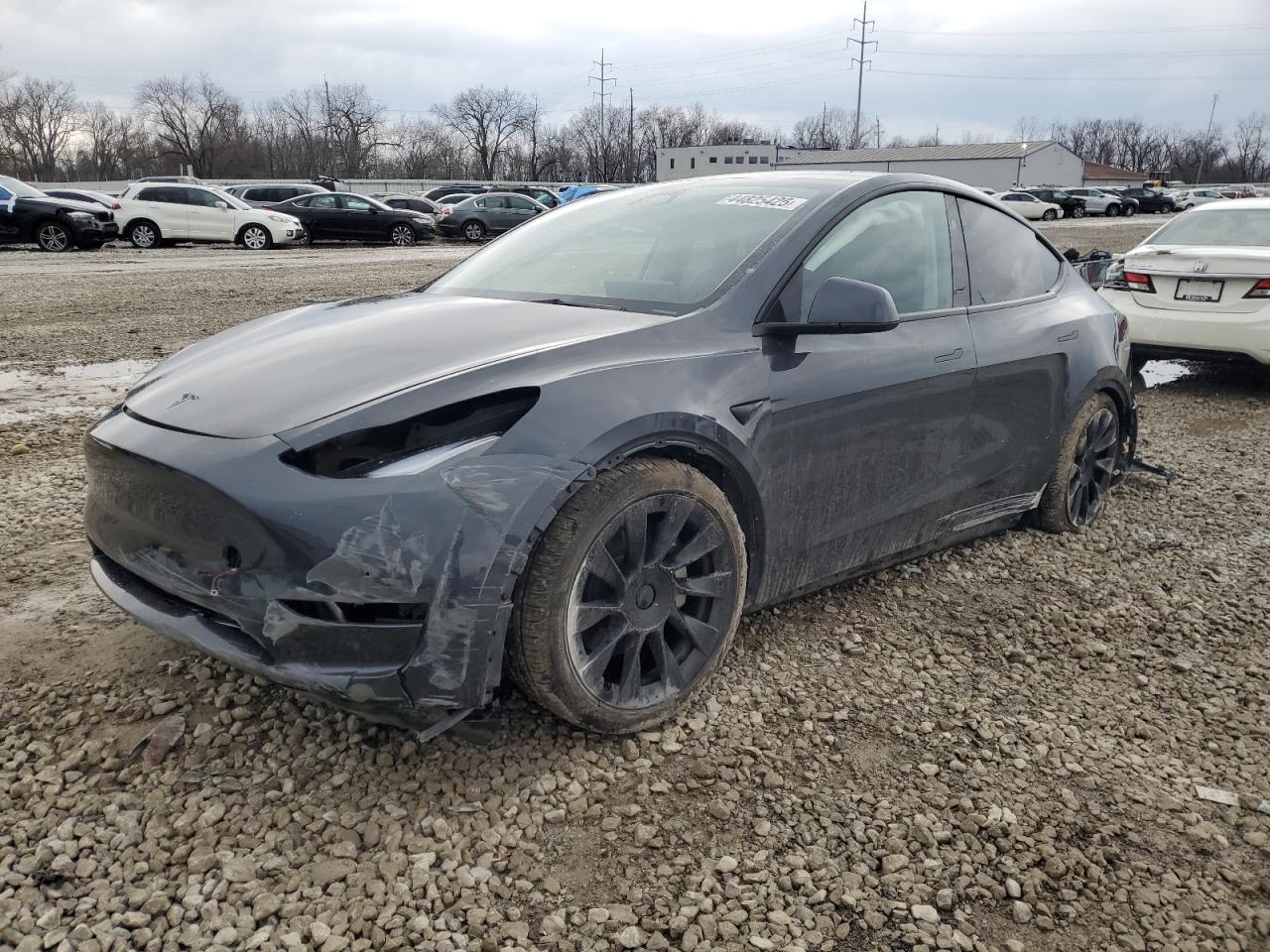 2024 TESLA MODEL Y  VIN:7SAYGDEEXRF988853