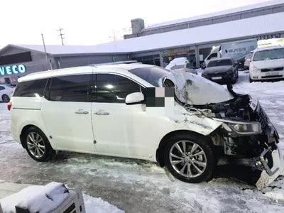 2019 Kia Carnival KNAME81ABKS487105 VIN:KNAME81ABKS487105
