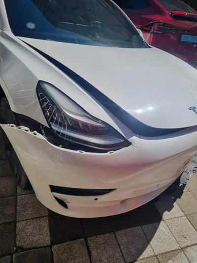 2019 Tesla Model 3 5YJ3E1EA4LF585502 VIN:5YJ3E1EA4LF585502