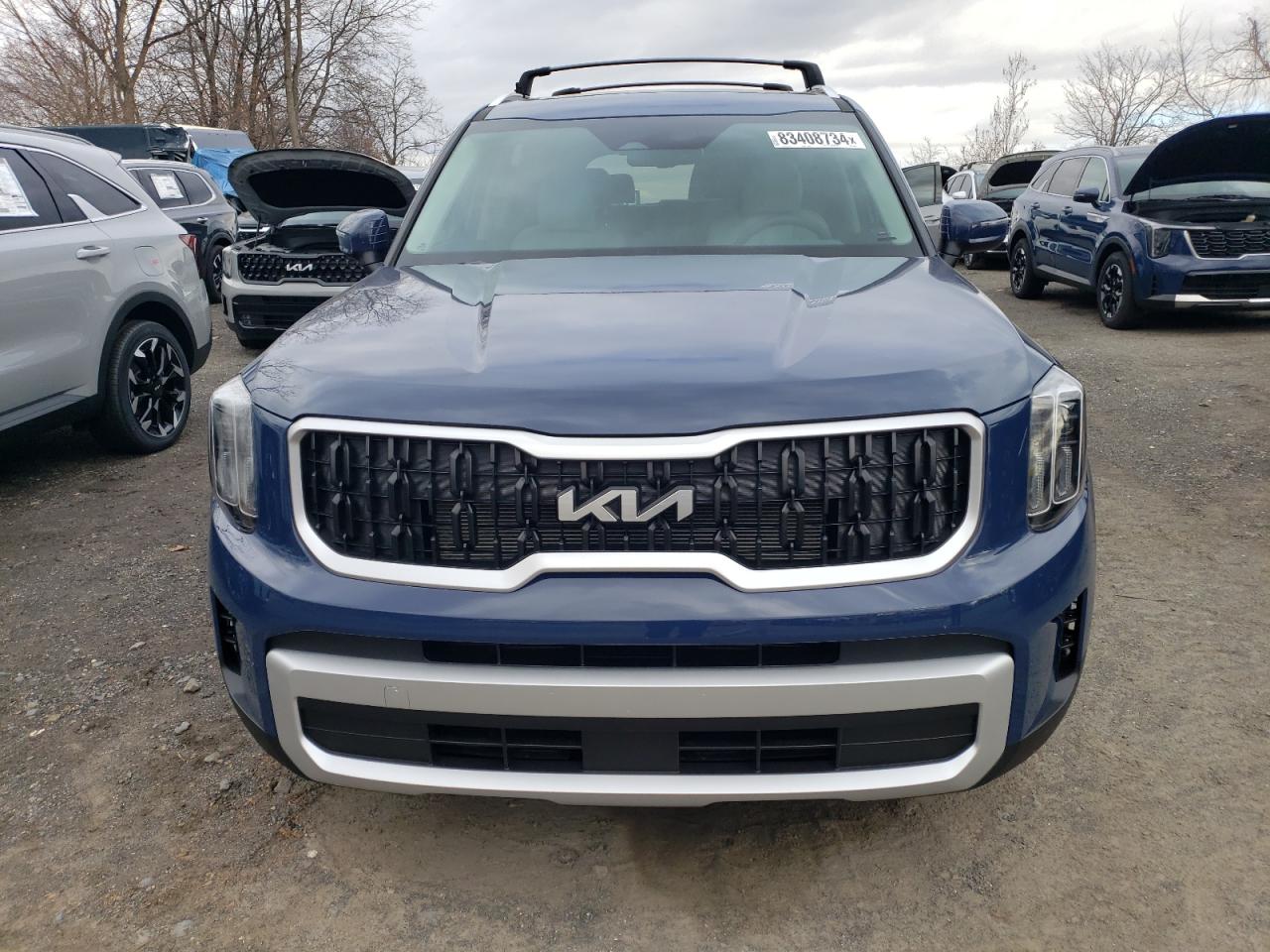2024 KIA TELLURIDE EX VIN:5XYP34GC2RG561966