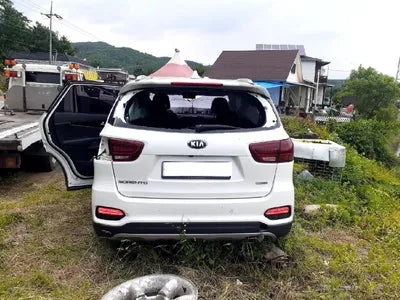 2019 Kia Sorento 657KMKNAPG81ABKA5 VIN:657KMKNAPG81ABKA5