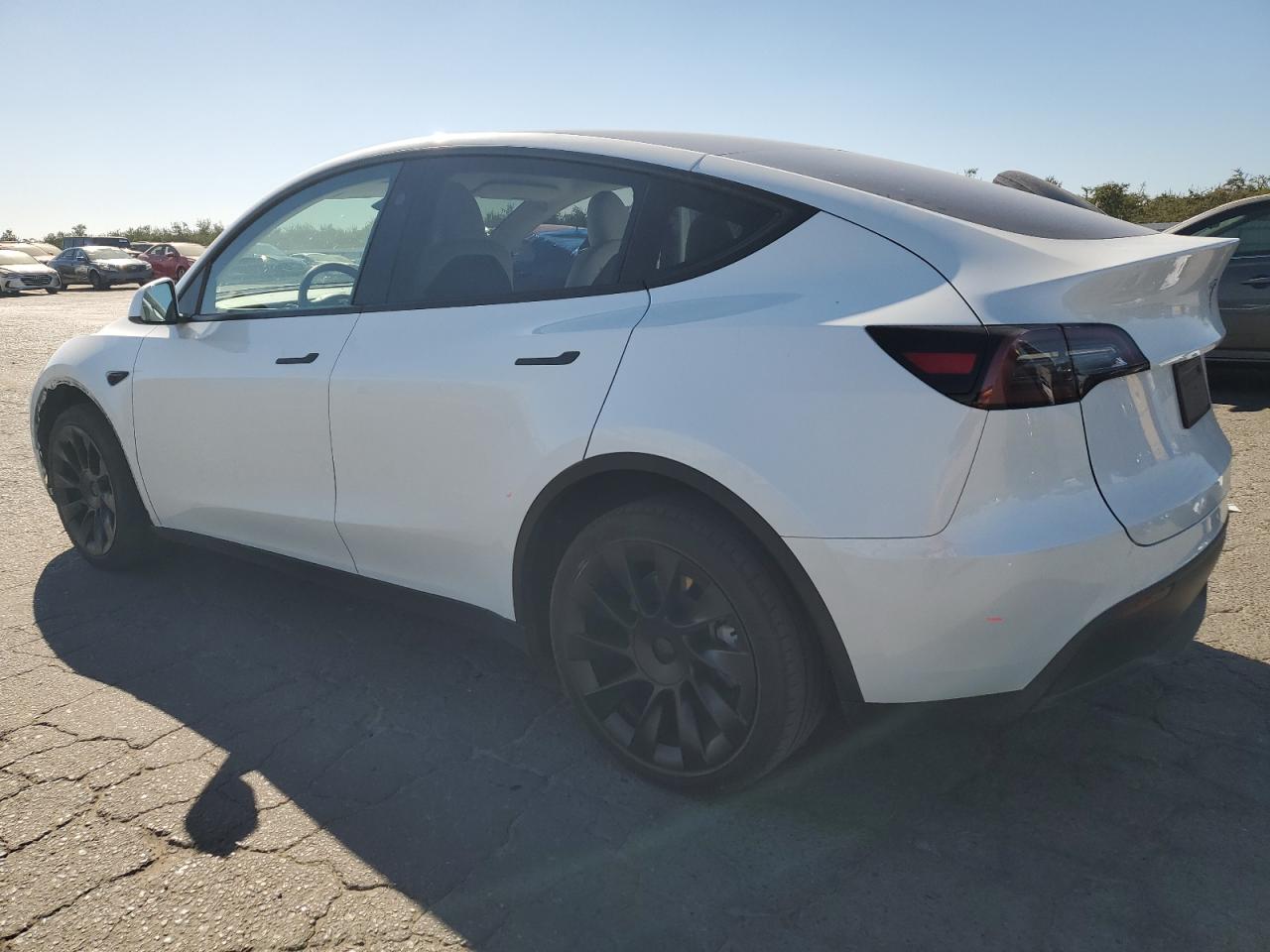 2023 TESLA MODEL Y  VIN:7SAYGDEE3PF840024