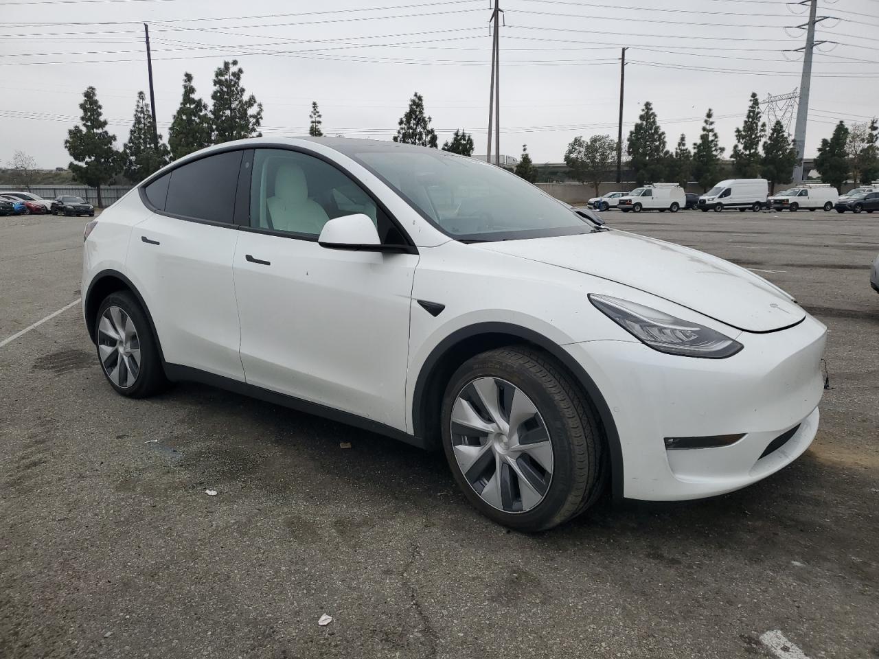 2022 TESLA MODEL Y  VIN:7SAYGDEE8NF512031