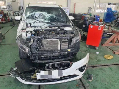 2019 Kia Carnival KNAME81ABKS487105 VIN:KNAME81ABKS487105