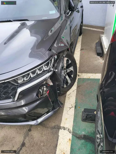 2020 Kia Sorento KNARH81BGMA035621 VIN:KNARH81BGMA035621