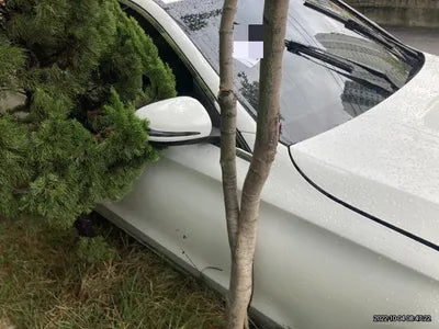 2019 Mercedes-Benz C 220 VIN: