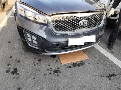 2016 Kia Sorento KNAPH81ADGA208693 VIN:KNAPH81ADGA208693