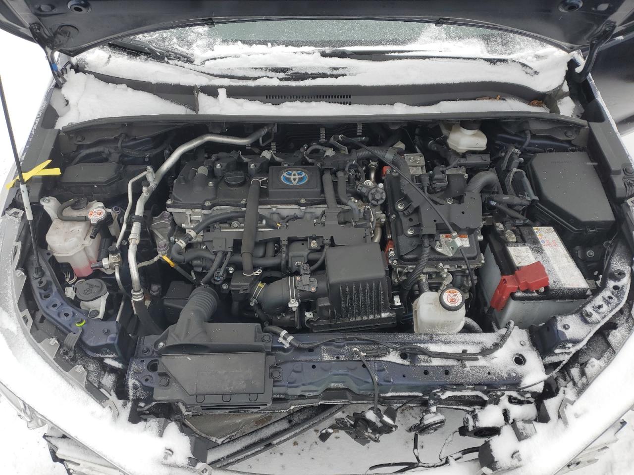 2023 TOYOTA COROLLA LE VIN:JTDBCMFE1PJ008350