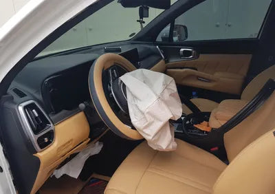 2023 Kia Sorento KNARF81FHPA191709 VIN:KNARF81FHPA191709