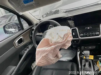 2020 Kia Sorento KNAPS81ABLA631279 VIN:KNAPS81ABLA631279