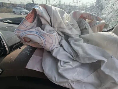 2019 Hyundai Santa FE KMHS381ADLU216986 VIN:KMHS381ADLU216986