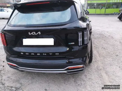 2022 Kia Sorento KNARM81GBNA119224 VIN:KNARM81GBNA119224