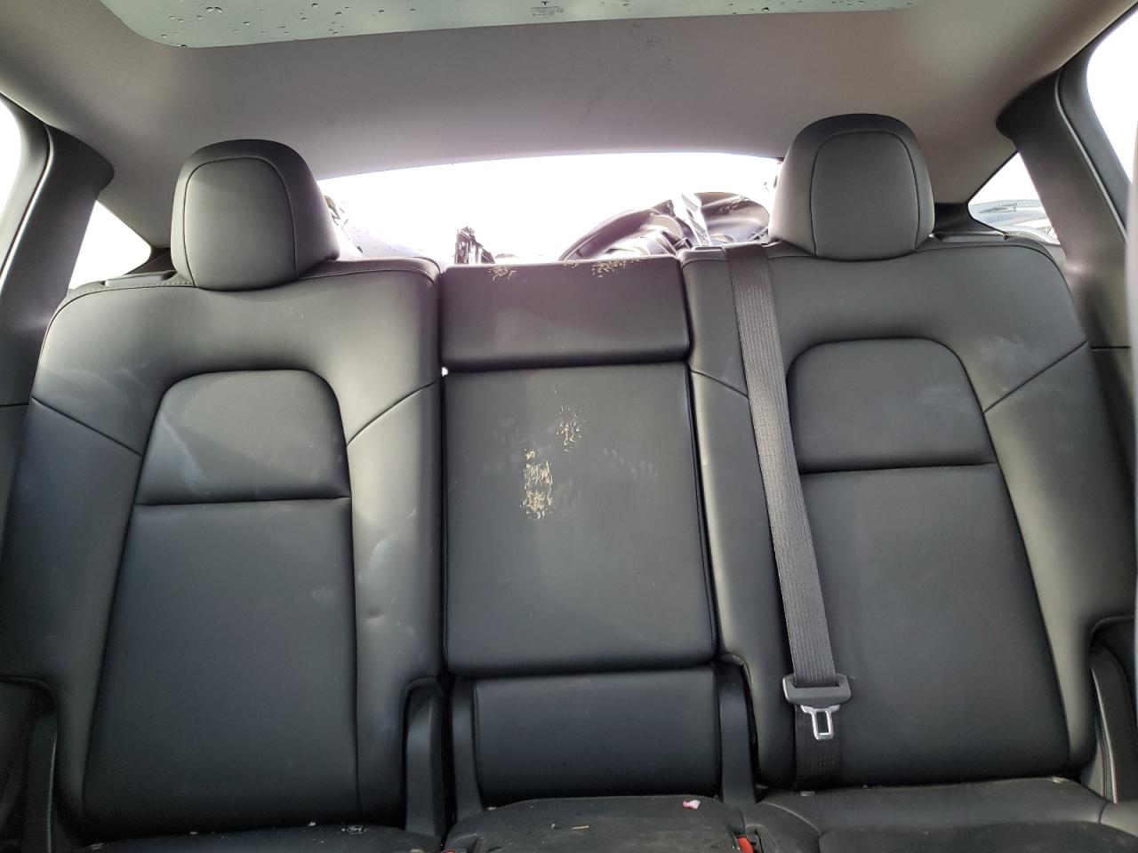 2024 TESLA MODEL Y  VIN:7SAYGAEE0RF023725