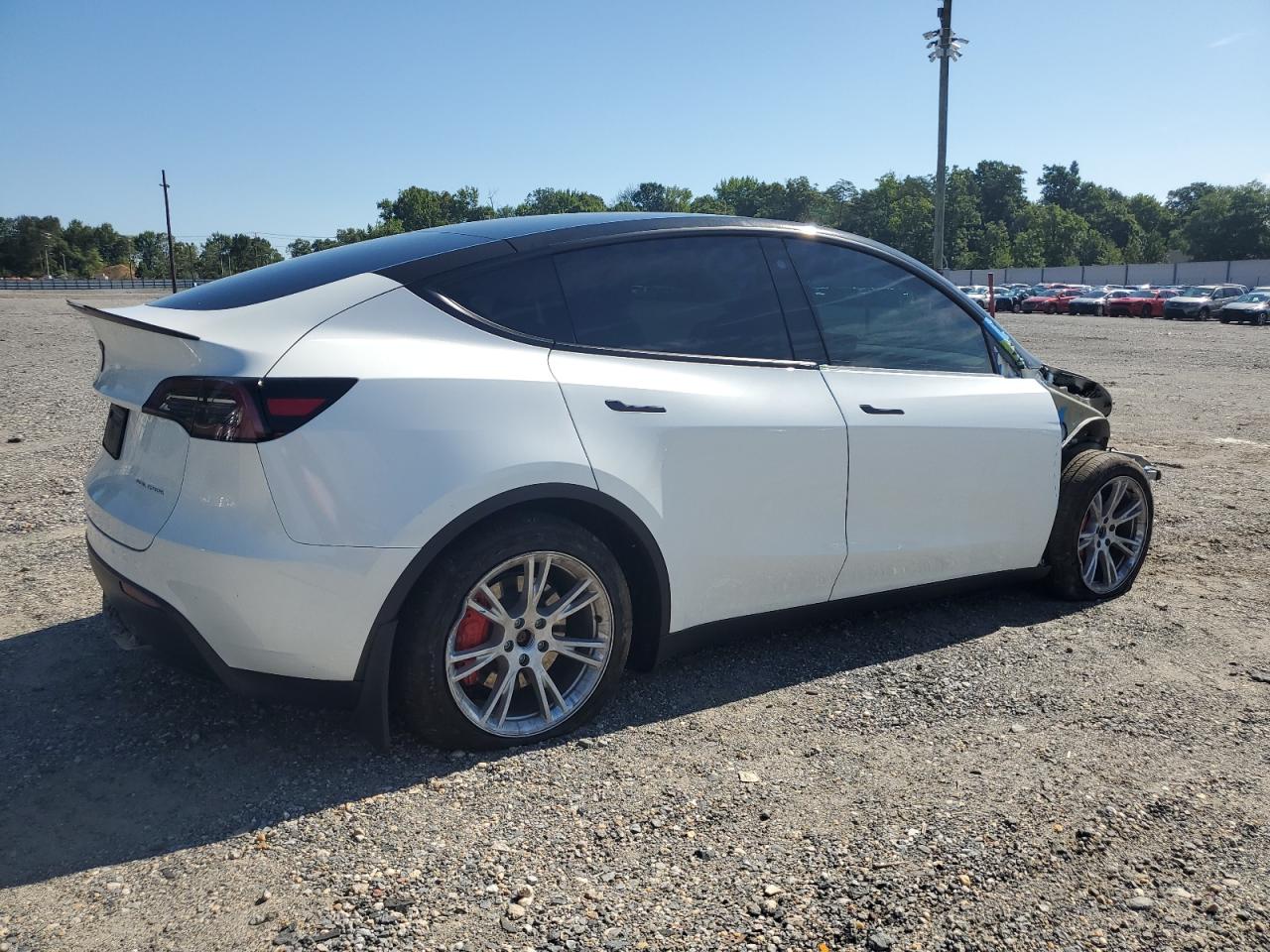 2023 TESLA MODEL Y  VIN:7SAYGAEE7PF751636