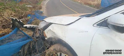 2017 Kia Sorento 339KMKNAPH81ABHA3 VIN:339KMKNAPH81ABHA3