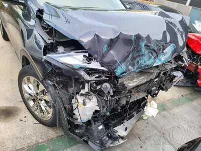 2019 Kia Sorento KNAPS81ABLA607195 VIN:KNAPS81ABLA607195