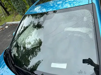 2021 BMW 220 WBA31AL01M7J09007 VIN:WBA31AL01M7J09007