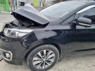 2016 Kia Carnival KNAMB81ABGS202107 VIN:KNAMB81ABGS202107