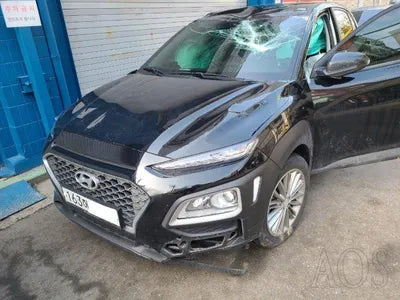 2019 Hyundai Kona KMHK6815GLU498505 VIN:KMHK6815GLU498505