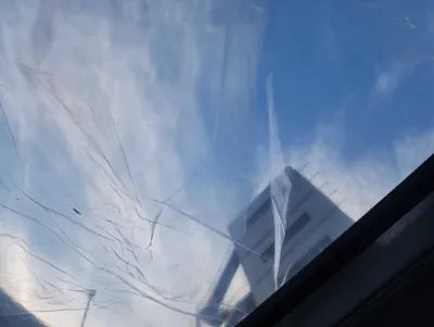 2021 Audi Q8 WAUZZZF1XMD021225 VIN:WAUZZZF1XMD021225