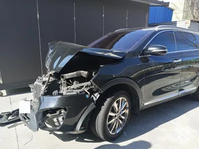 2016 Kia Sorento KNAPH81ABGA189463 VIN:KNAPH81ABGA189463