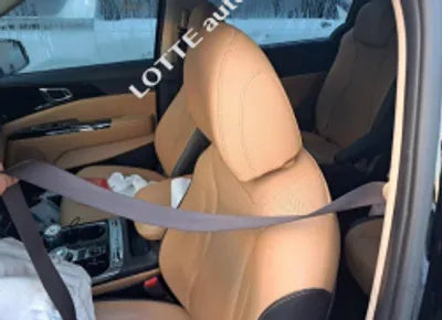 2021 Kia Carnival KNANC81BBMS018195 VIN:KNANC81BBMS018195