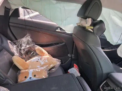 2016 Hyundai Tucson KMHJ381ADHU258386 VIN:KMHJ381ADHU258386