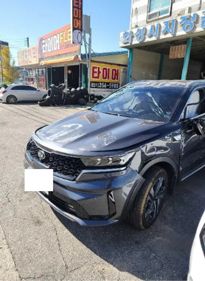 2021 Kia Sorento KNARK81GBMA014905 VIN:KNARK81GBMA014905