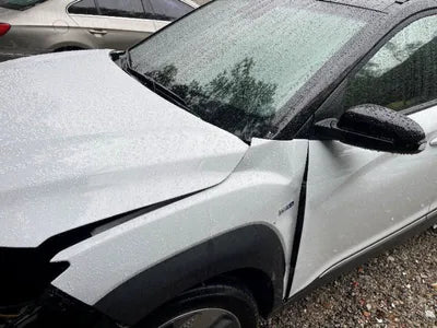 2019 Hyundai Kona KMHK381GFKU059032 VIN:KMHK381GFKU059032