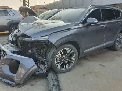 2019 Hyundai Santa FE KMHS381BBKU046289 VIN:KMHS381BBKU046289