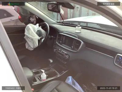 2019 Kia Sorento KNAPG81ABLA555610 VIN:KNAPG81ABLA555610