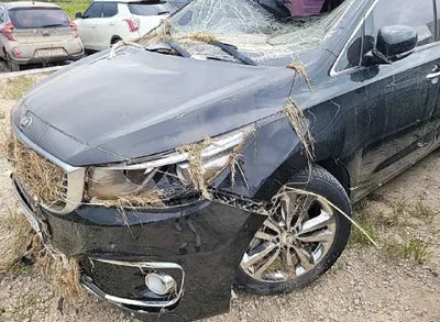 2017 Kia Carnival KNAMC81ABHS281610 VIN:KNAMC81ABHS281610