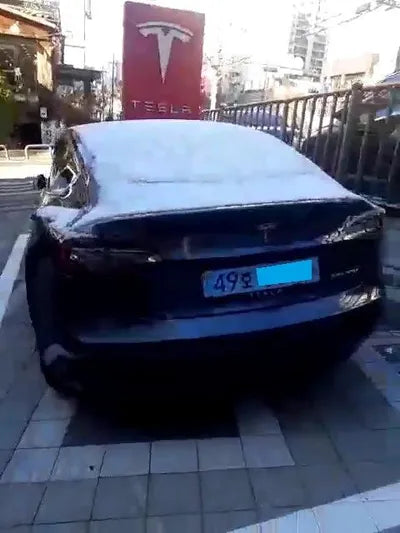 2020 Tesla Model 3 5YJ3E1EBXLF768864 VIN:5YJ3E1EBXLF768864