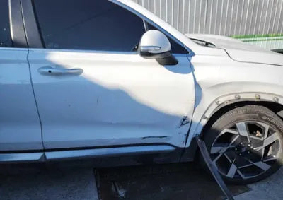 2021 Hyundai Santa FE KMHS381HGMU310393 VIN:KMHS381HGMU310393