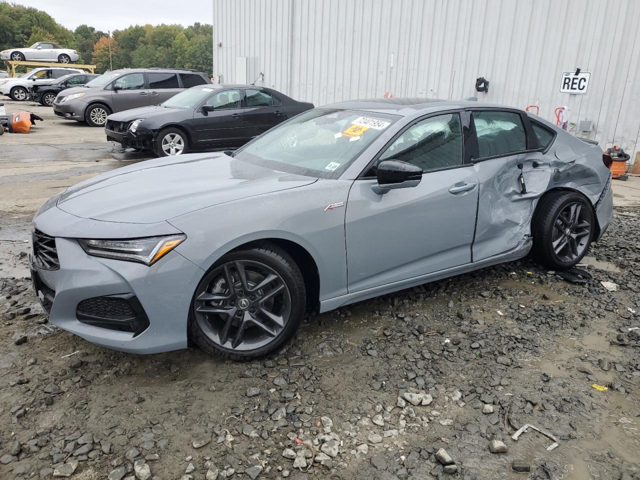 2024 ACURA TLX A-SPEC VIN:19UUB6F53RA000620