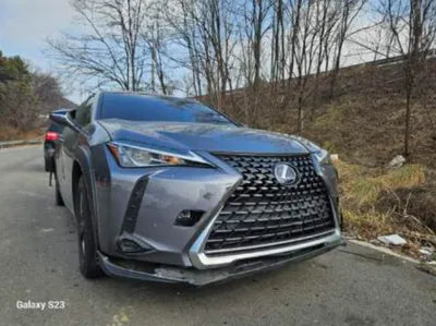 2019 Lexus UX 250 JTHY6JBH6K2001251 VIN:JTHY6JBH6K2001251