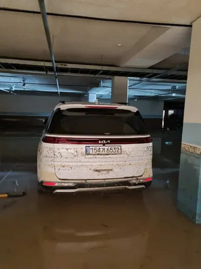 2022 Kia Carnival KNANE81BBPS230361 VIN:KNANE81BBPS230361
