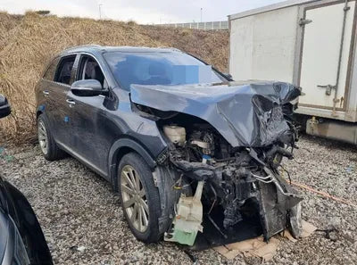 2018 Kia Sorento KNAPS811DJA460924 VIN:KNAPS811DJA460924