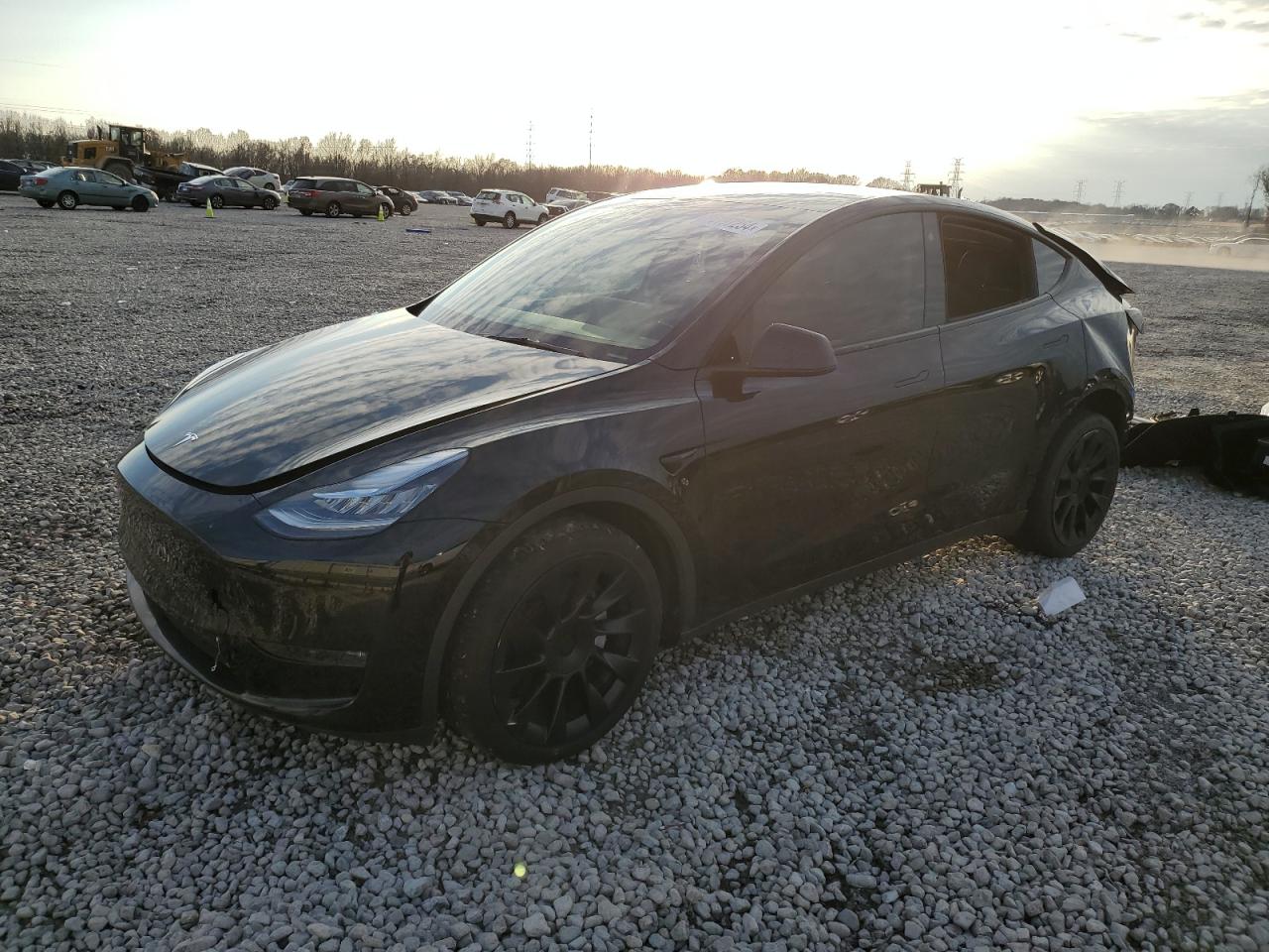 2023 TESLA MODEL Y  VIN:7SAYGDEE1PA057961