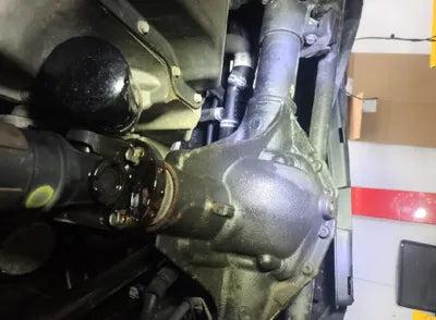 2019 Jeep Wrangler 1C4HJXEN3KW625828 VIN:1C4HJXEN3KW625828