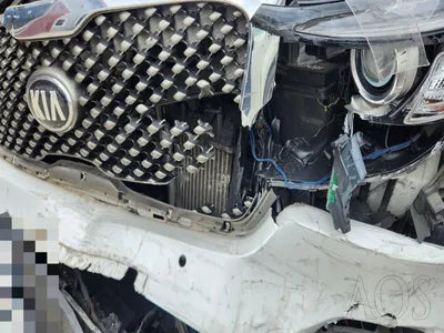 2016 Kia Sorento 917KMKNAPH81BDGA2 VIN:917KMKNAPH81BDGA2