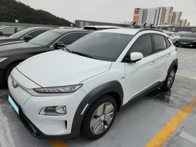 2020 Hyundai Kona KMHK381GFLU102366 VIN:KMHK381GFLU102366